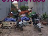 Cần Tiền Bán Nhanh Lô 65M2 Đất Khu Tái Định Cư Trâu Quỳ. Lh 0964541568