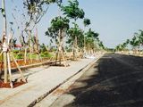 Đất Đường Đinh Đức Thiện Bình Chánh Tp.hcm