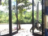 Cần Bán Đất Sát Chợ Hòa Châu, Hòa Vang, Đà Nẵng