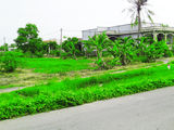 Cần Bán 1700M2 Đất Phong Phú Bình Chánh Chỉ 5,3 Tỷ
