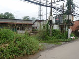 Kẹt Tiền Sang Gấp 300M2,1Ty3 Mt Tân Liễu, Hưng Long, Bình Chánh.