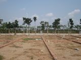 Mở Bán Đợt Cuối Đất Nền Phân Lô Kdc An Phú Đông,q12.shr.dt 56M2-80M2.gía 1.2- 1.6 Tỷ