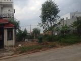 Gia Đình Tôi Chuyển Về Bắc Thanh Lý Gấp 300M2 Đất, Giá Rẻ 615Tr/nền. Sổ Hồng Riêng.lh: 0901.951.501