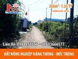 Đất Tại Hiệp Thạnh- Đức Trọng Diện Tích 241M2 Giá Chỉ 960 Triệu Đồng.