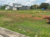 Cần Bán Gấp Mảnh Đất Tại Mỹ Phước 3 Bến Cát Bình Dương