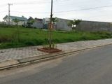 Cần Bán Mảnh Đất Tái Định Cư Trâu Quỳ, Dt 44,49M Hướng Tây Nam, Mặt Tiền 3,53M 01666674678