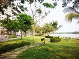 Bán Lô Đất Đối Diện Công Viên Lớn, Đường 7M5, Giá 750 Triệu Lh 0905 332 598