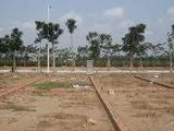 Dự Án Mới .Đầu Tư Sinh Lời Cao .Vị Trí Đẹp .Sổ Riêng .Quận 2