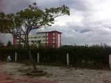 Bán Gấp 171.5 M2 Đất Nền Cạnh Trường Tiểu Học.