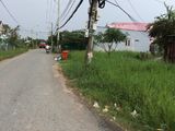Bán 302M2 Đất, Giá 1,3 Tỷ Mặt Tiền Đường Tân Liễu, Xã Hưng Long, Huyện Bình Chánh.