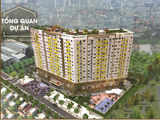 Căn Hộ Saigon Homes, Hương Lộ 2 Bình Tân, Lh: 0903004488