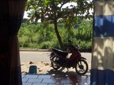 Bán Đất Nguyễn Văn Tỵ, Hòa Châu, Hòa Vang, Đà Nẵng