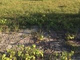 Bán Đất Đường Huỳnh Xuân Nhị, Hướng Đông,100M2 Đn.
