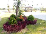 Tôi Cần Tiền Bán Gấp Lô Đất Đường Nguyễn An Ninh Trục Kết Nối Ra Biển 300m, Giá 740 Triệu