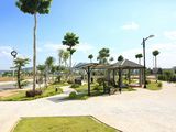 Tôi Cần Tiền Bán Gấp Lô Đất Đường Nguyễn An Ninh Trục Kết Nối Ra Biển 300m, Giá 740 Triệu