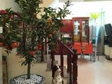 Bán Nhà Xây Mới Bùi Xương Trạch, Ô Tô Đỗ, 40m2 X 4 T, Mt 4,5 M, 3,2 Tỷ 0971200668!