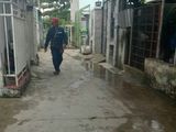 Bán Nhà Đường 36, Phường Bình Trưng Tây, Quận 2. Hcm