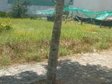 Cần Bán Gấp Lô Đất Trong Khu Dân Cư Mỹ Hạnh Hoàng Gia Giá 400Tr Đã Có Sổ Hồng Diện Tích 5X17M