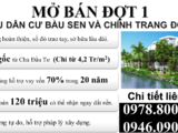 Mở Bán Đợt 1 Khu Dân Cư Bàu Sen - Trung Tâm Thị Xã Đức Phổ