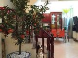 Bán Nhà Nở Hậu, Mặt Tiền 4.5M, 40M2, Bùi Xương Trạch, Thanh Xuân, 3.2 Tỷ
