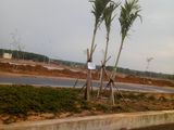 Đất Nền Trung Tâm Quận 9, Lò Lu Nối Dài, Sổ Riêng
