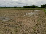 Đất Diện Tích Lớn 10- 200.000M2. Huyện Đức Hoà - Long An. 130K/m2
