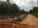Bán Đất Gần Sân Bay Long Thành, Xã Lộc An, Bên Cạnh Khu Dân Cư D2D