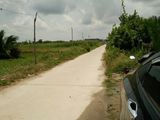 Bán Các Đất Thổ Vườn 3253M2,1070M2, 2030M2 Đường Xương Cá 2,long Thới. Giá 3,7Tr/m2 - 01229.610.461