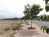 Mở Bán Khu Dân Cư Bình Minh Trảng Bom