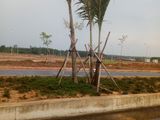 Lô 79M2 Ngay Chợ Long Trường. Nguyễn Duy Trinh Q9. Sổ Riêng