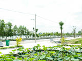 Nhanh Tay Sở Hửu Ngay Vị Trí Đẹp Khu Dlst Phú Sinh, Shr, Xtd