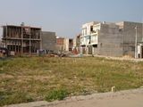 Bán Đất Mặt Tiền Chợ 780 Triệu/450M2, Dân Cư Đông, Tiện Kinh Doanh Buôn Bán