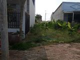Cần Tiền Bán Gấp 6*12M Đường Nguyên Văn Tạo Nhà Bè