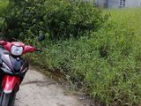 Bán Đất Thổ Cư Đường Lộc Trung, Xã Mỹ Lộc, Huyện Cần Giuộc, Giá 200 Triệu