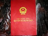 Bán Toà Nhà 5 Tầng Quận Đống Đa, Kd Rất Tốt Với Chỉ 80Tr/m2.