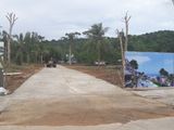 Đất Nền Cây Thông Ngoài, Phú Quốc. Đầu Tư Chỉ Từ 360 Triệu.