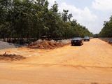 Đất Nền Sân Bay Long Thành-Cạnh Dự Án D2d Bình Sơn