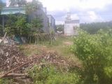 Chủ Đầu Tư Becamex Thanh Lý Đất Bình Dương Giá Rẻ , Sổ Hồng Chính Chủ Giá Chỉ 350 Triệu/100M2