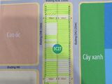 Bán Đất Nền Dự Án Khu Đô Thị Mỹ Phước 4, Bến Cát, Bình Dương
