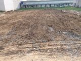 Bán Gấp Lô Đất Gần Đường Tỉnh Lộ 10 Thu Nhập 50Tr/ Tháng