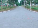 Chỉ 498Tr Nhận Nền Đất Bình Tân