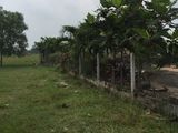 477 M2 Đất Thổ Cư Xã Hưng Long, Bình Chánh.
