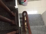 Bán Gấp Nhà 5 Tầng Cực Đẹp Tại Hà Trì Hà Cầu Hà Đông Hà Nội