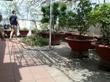 Căn Hộ Penthouse Sky Garden 2, Phú Mỹ Hưng, Quận 7, Giá 7,5 Tỷ