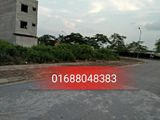 Bán Đất Tái Định Cư Trâu Quỳ, Đất Đẹp Dt 81.4m2 Mt 5.6m. Lh: 0961665727.
