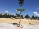 Chỉ Còn 2 Lô Liền Kề Giá Rẻ Đất Nền Ven Biển Seapark-Sát Biển Kề Sông,chỉ 715Tr/nền