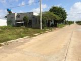 Bán 200M2 Đất Xây Nhà Tại Bình Chánh, Mt Bùi Văn Sự