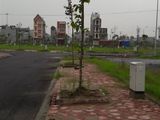 Bán Đất Đẹp Ở Tđc Bình Minh-Trâu Quỳ. Dt:149m2. Giá Thương Lượng Với Chủ Nhà. Lh:0976955619