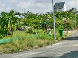 Cần Sang Nhanh 1500m2 Đất, Rộng Đẹp, Hẻm Xe Hơi, Giá Rẻ, Lê Văn Lương, Nhơn Đức, Nhà Bè