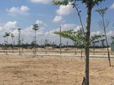 Sắp Mở Bán Dự Án Sát Biển Kề Sông, Gần Cocobay Phía Nam Đà Nẵng Chỉ Với 450Triệu